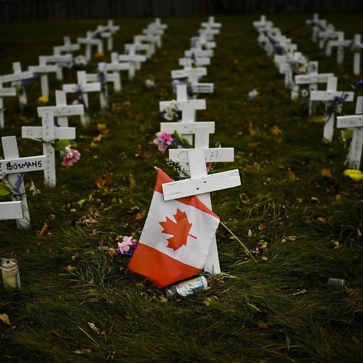 Journal series calls for inquiry into Canada's COVID-19 response, highlighting shortfalls